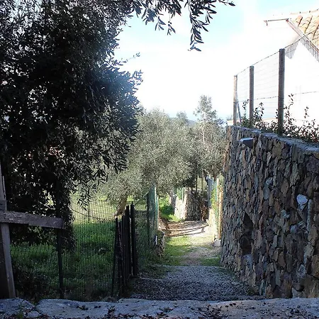 Tagliaferro Daire *